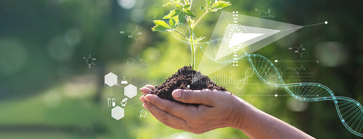 photo of hands holding dirt and a plant with abstract illustrated genes and molecules 