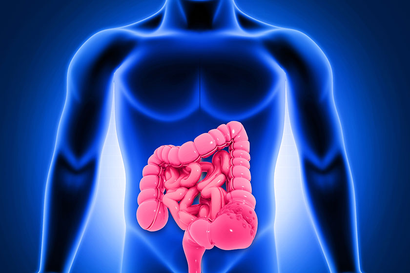 Rendering of a human silhouette in blue and intestines in red